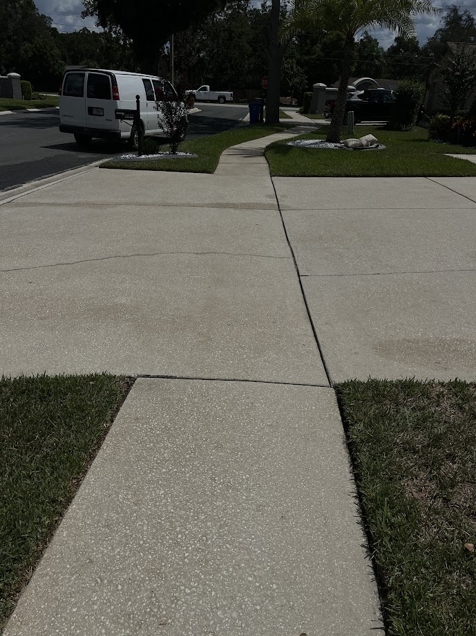 clean driveway w vehic