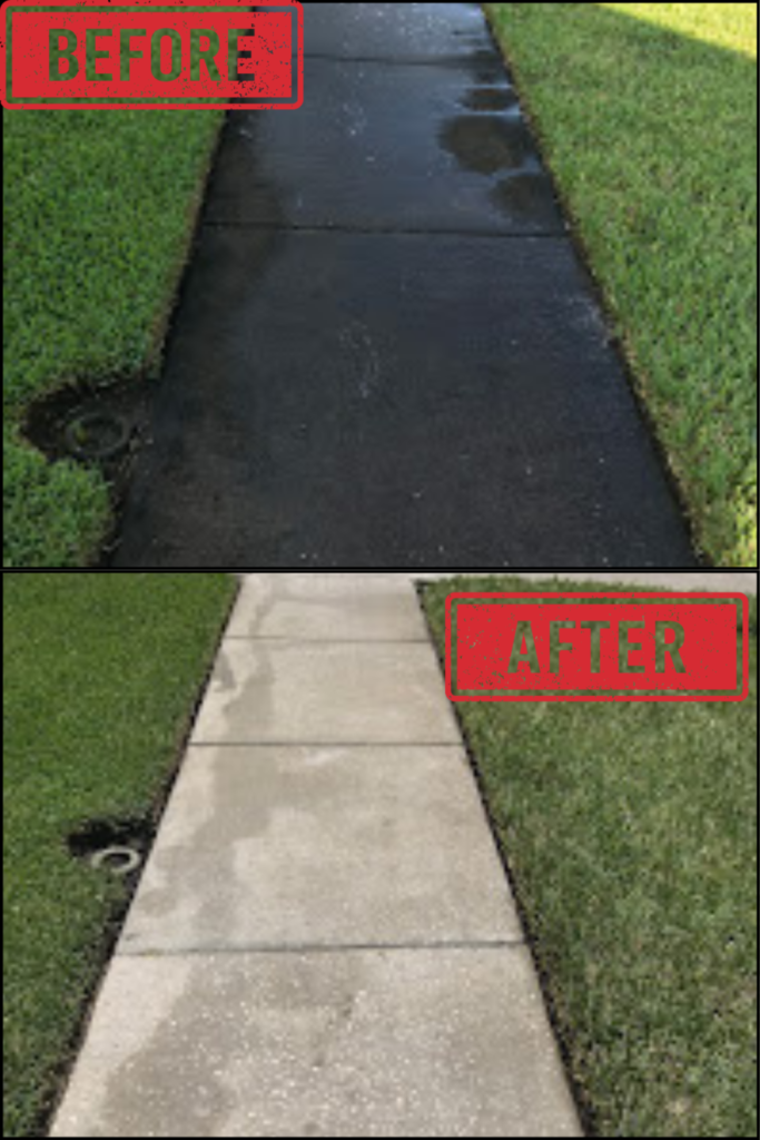 Before and After pictures of a solid black concrete sidewalk from years of algae growth, and the dramatic difference our pressure washing service makes in Carrollwood.