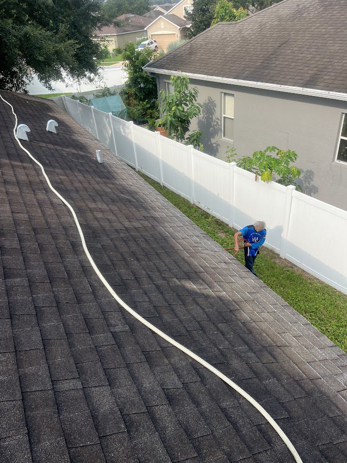 soft wash roof wesley chapel
